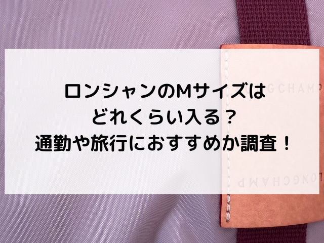 ロンシャン　Mサイズ　どれくらい入る